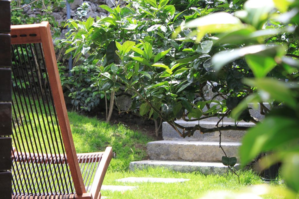 Quinta Das Rosas Villas Ribeira Grande Room photo